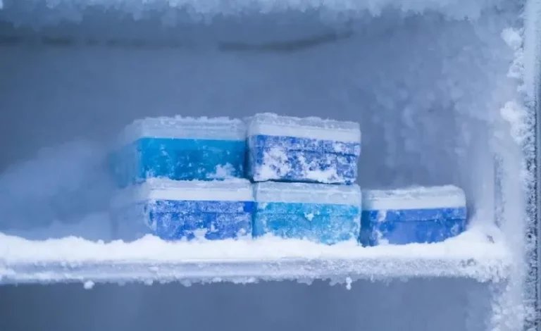 Cara Mencairkan Bunga Es Kulkas Sharp