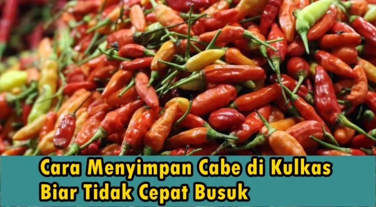 Cara Menyimpan Cabe di Kulkas Biar Tidak Cepat Busuk