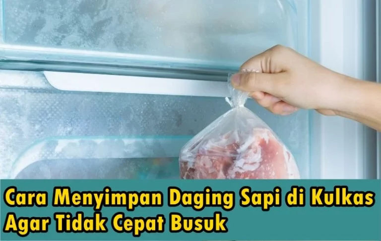 Cara Menyimpan Daging Sapi di Kulkas Agar Tidak Cepat Busuk