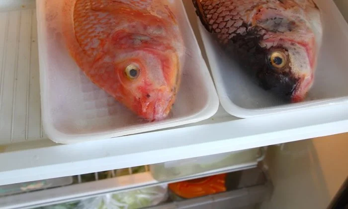 Cara Menyimpan Ikan di Kulkas Biar Tahan Lama Tanpa Ribet