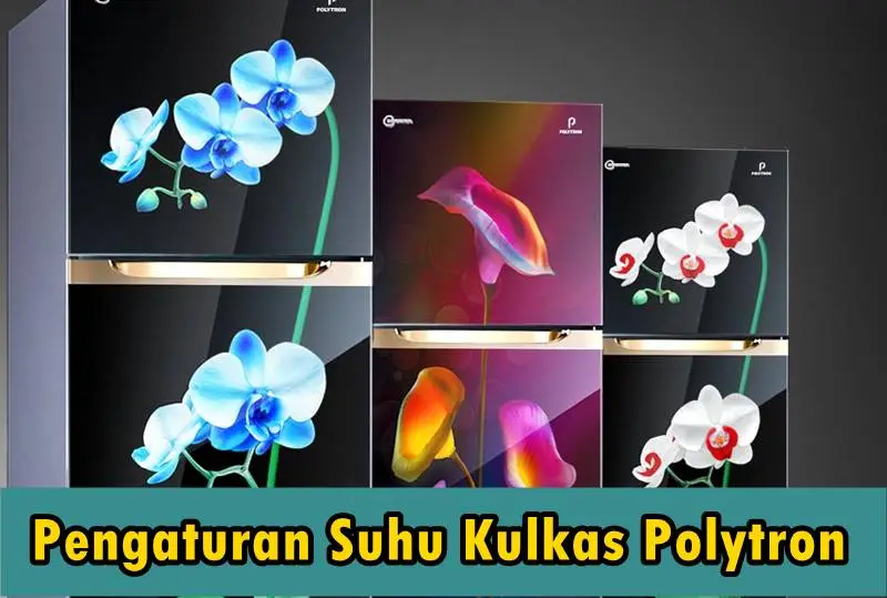 Pengaturan Suhu Kulkas Polytron Untuk 1 Pintu Dan 2 Pintu ...