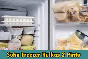 Suhu Freezer Kulkas 2 Pintu yang Benar dan Ideal