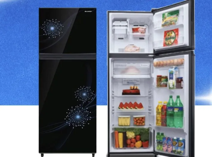 Kelebihan dan Kekurangan Kulkas Sharp SJ 317