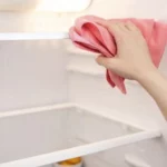 cara menghidupkan kulkas setelah dibersihkan