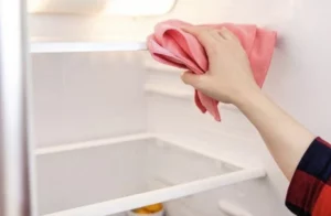 cara menghidupkan kulkas setelah dibersihkan