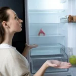 kulkas merk aqua bagus tidak