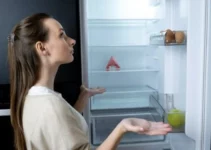 Kulkas Merk AQUA Bagus Tidak? Ini Jawaban Jujurnya Setelah Dipakai Bertahun-tahun