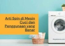 Arti Rinse and Spin di Mesin Cuci untuk Pecinta Playlist Musik