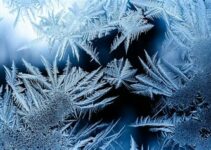 Panduan Lengkap: Cara Menggunakan Tombol Pencair Bunga Es Kulkas Sharp