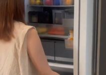 10 Penyebab Kenapa Kulkas Bunyi Gluduk dan Solusi Paling Ampuh