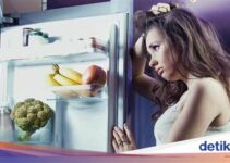 Panduan Lengkap Kenapa Suara Kulkas Polytron Berisik dan Solusi Ampuhnya